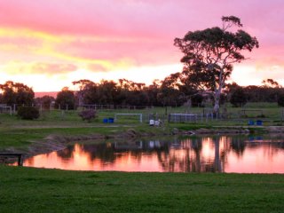 Finniss Lodge Thoroughbreds