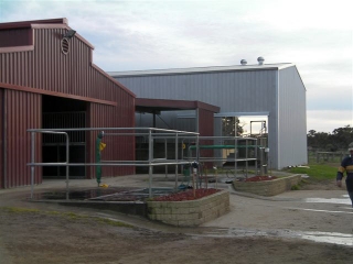 finniss-lodge-thoroughbreds-24