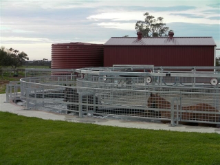 finniss-lodge-thoroughbreds-28