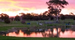 Finniss Lodge Thoroughbreds