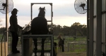 finniss-lodge-thoroughbreds-15