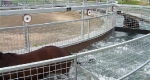 finniss-lodge-thoroughbreds-19