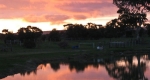 finniss-lodge-thoroughbreds-2