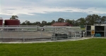 finniss-lodge-thoroughbreds-27