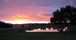 finniss-lodge-thoroughbreds-3
