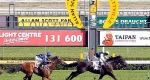 finniss-lodge-thoroughbreds-35