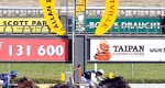 finniss-lodge-thoroughbreds-36