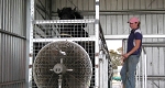 finniss-lodge-thoroughbreds-4