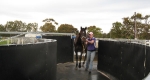 finniss-lodge-thoroughbreds-5