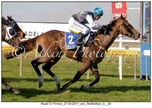 Road To Finniss