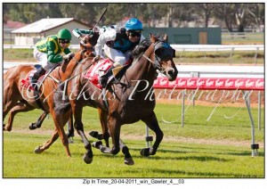 Zip In Time at Gawler